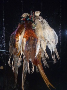 Pheasant Plucker