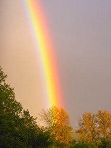 Rainbow 130513