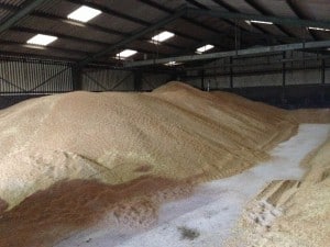 Wheat Heap